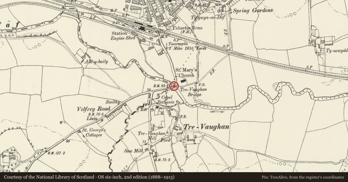Ordnance Survey six-inch map, 2nd edition (1888–1913) covering the location of Trevaughan Bridge, Whitland, Carmarthenshire, with a pin at the register's coordinates