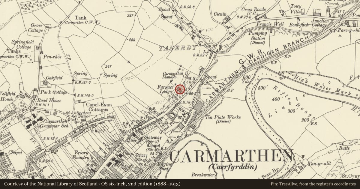 Ordnance Survey six-inch map, 2nd edition (1888–1913) covering the location of Y Garreg Filltir with rear low wall and railing, Carmarthen, Carmarthenshire, with a pin at the register's coordinates