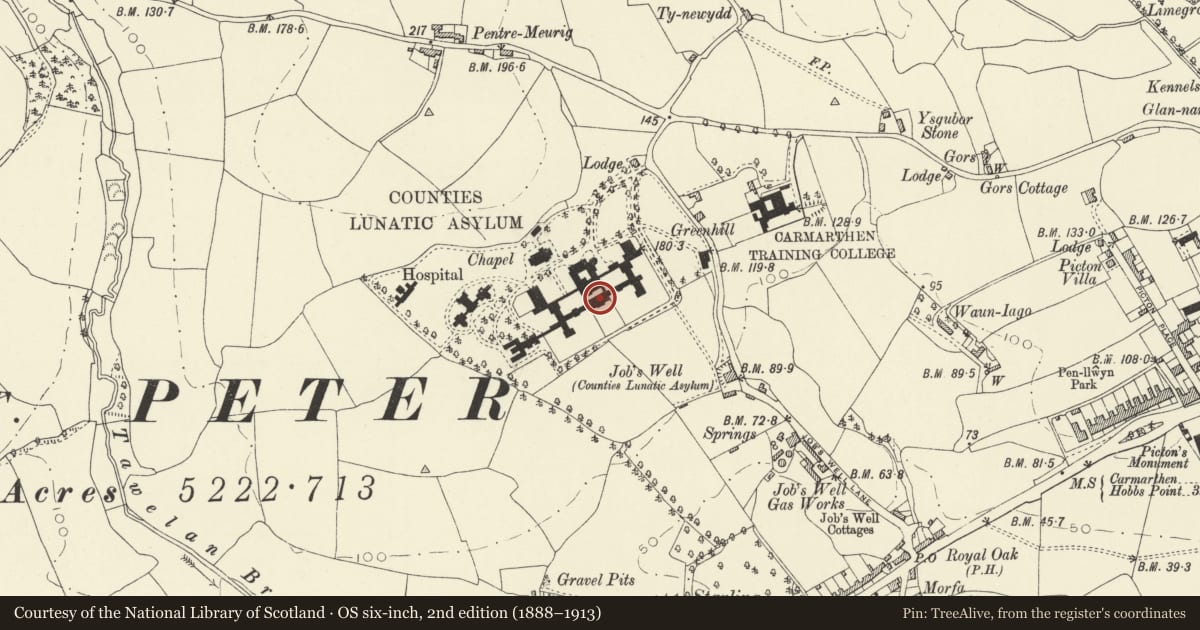 Ordnance Survey six-inch map, 2nd edition (1888–1913) covering the location of St David's Hospital main building including walls to S gardens, Carmarthen, Carmarthenshire, with a pin at the register's coordinates