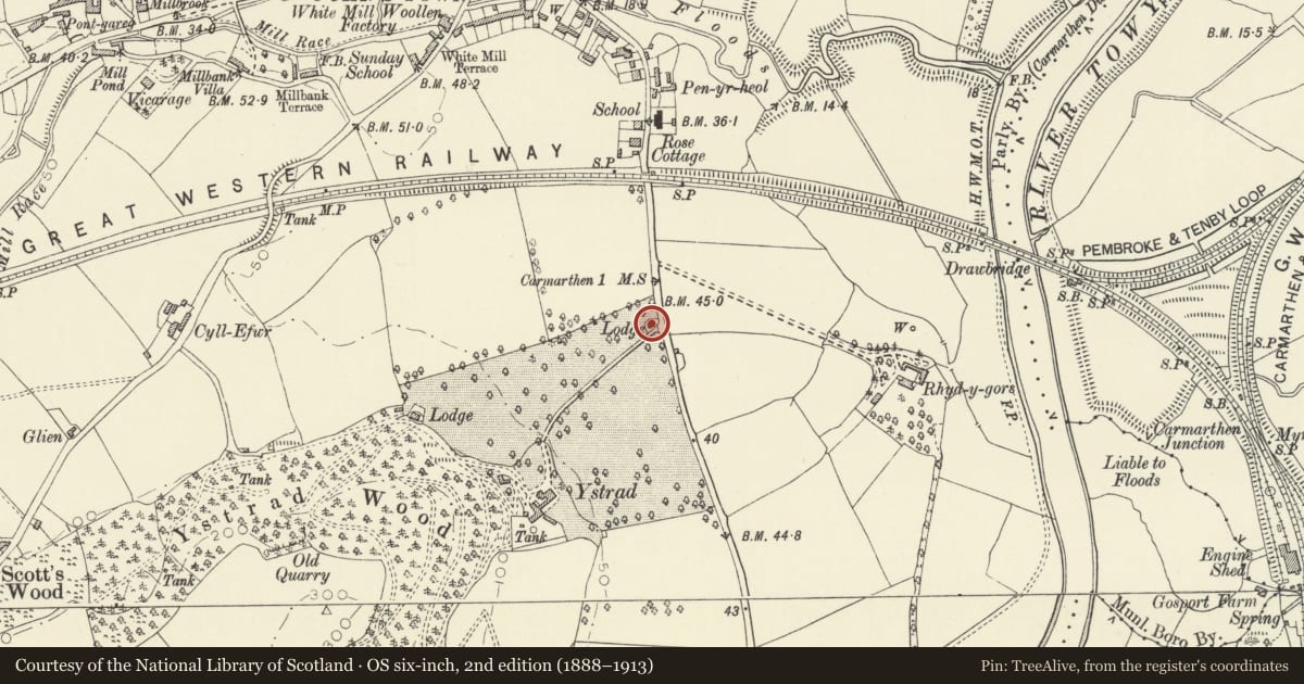 Ordnance Survey six-inch map, 2nd edition (1888–1913) covering the location of Former Lodge to Plas Ystrad, Carmarthen, Carmarthenshire, with a pin at the register's coordinates