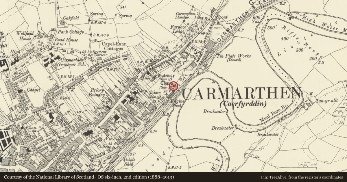 Ordnance Survey six-inch map, 2nd edition (1888–1913) covering the location of Section of wall at SW corner of Parc Hinds, Carmarthen, Carmarthenshire, with a pin at the register's coordinates