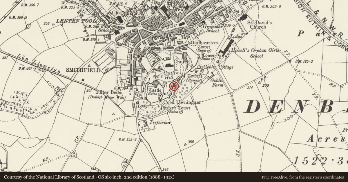 Ordnance Survey six-inch map, 2nd edition (1888–1913) covering the location of Town Wall, including North-East, Countess and Goblin Towers, Denbigh, Denbighshire, with a pin at the register's coordinates