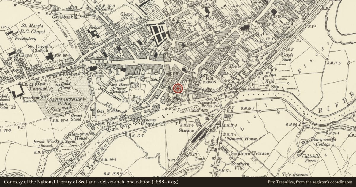 Ordnance Survey six-inch map, 2nd edition (1888–1913) covering the location of Ty Gelli Aur/Golden Grove House, with steps and railings, Carmarthen, Carmarthenshire, with a pin at the register's coordinates