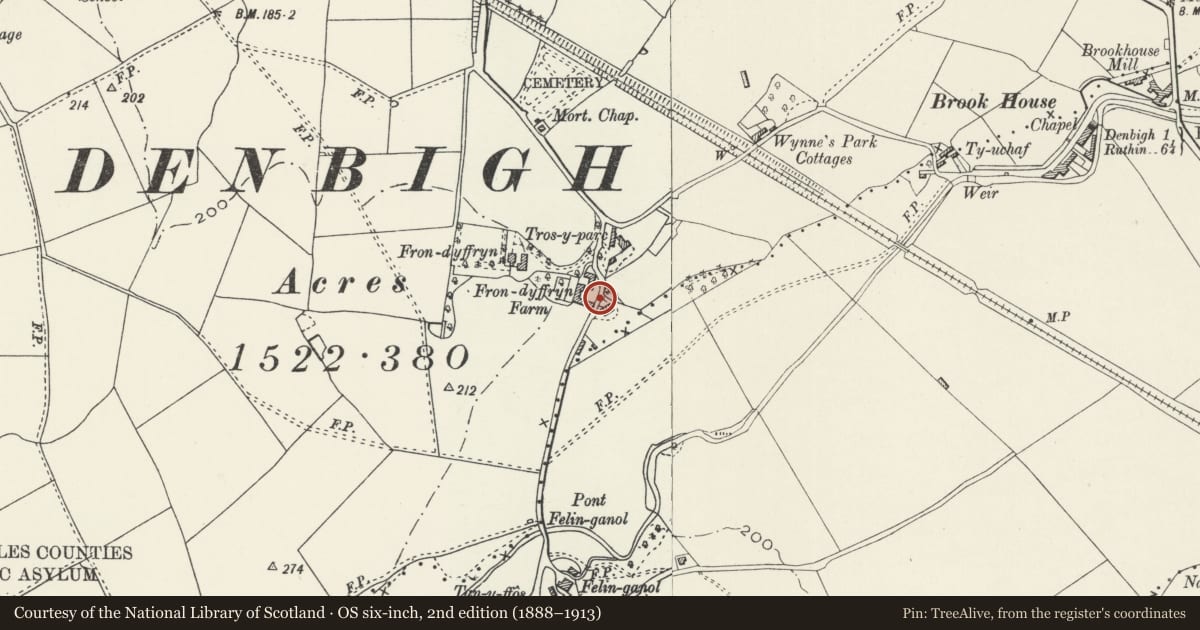 Ordnance Survey six-inch map, 2nd edition (1888–1913) covering the location of Walls and Railings of Llys-y-Coed, Denbigh, Denbighshire, with a pin at the register's coordinates