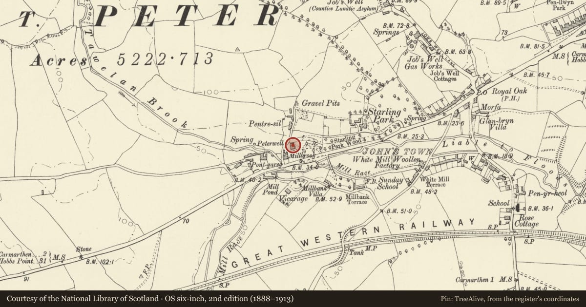 Ordnance Survey six-inch map, 2nd edition (1888–1913) covering the location of Peterwell, Carmarthen, Carmarthenshire, with a pin at the register's coordinates