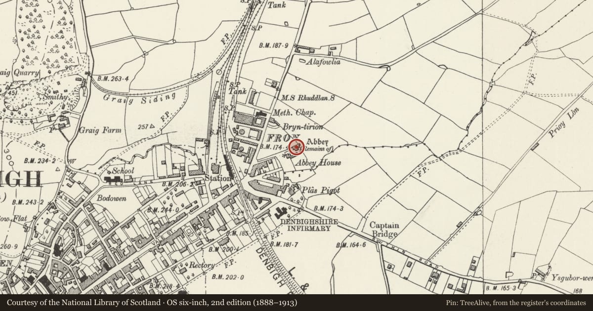 Ordnance Survey six-inch map, 2nd edition (1888–1913) covering the location of Denbigh Friary, Denbighshire, with a pin at the register's coordinates