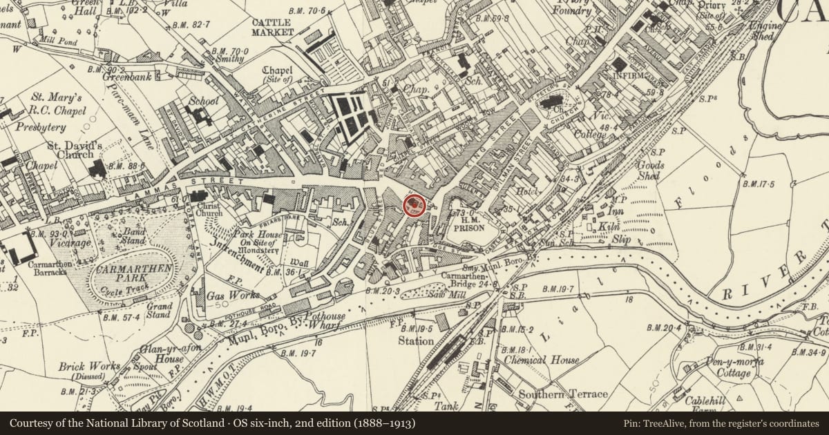 Ordnance Survey six-inch map, 2nd edition (1888–1913) covering the location of The Plume of Feathers, Carmarthen, Carmarthenshire, with a pin at the register's coordinates