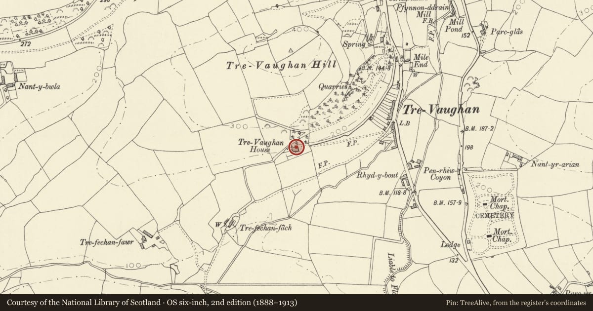Ordnance Survey six-inch map, 2nd edition (1888–1913) covering the location of Trevaughan House, Carmarthen, Carmarthenshire, with a pin at the register's coordinates