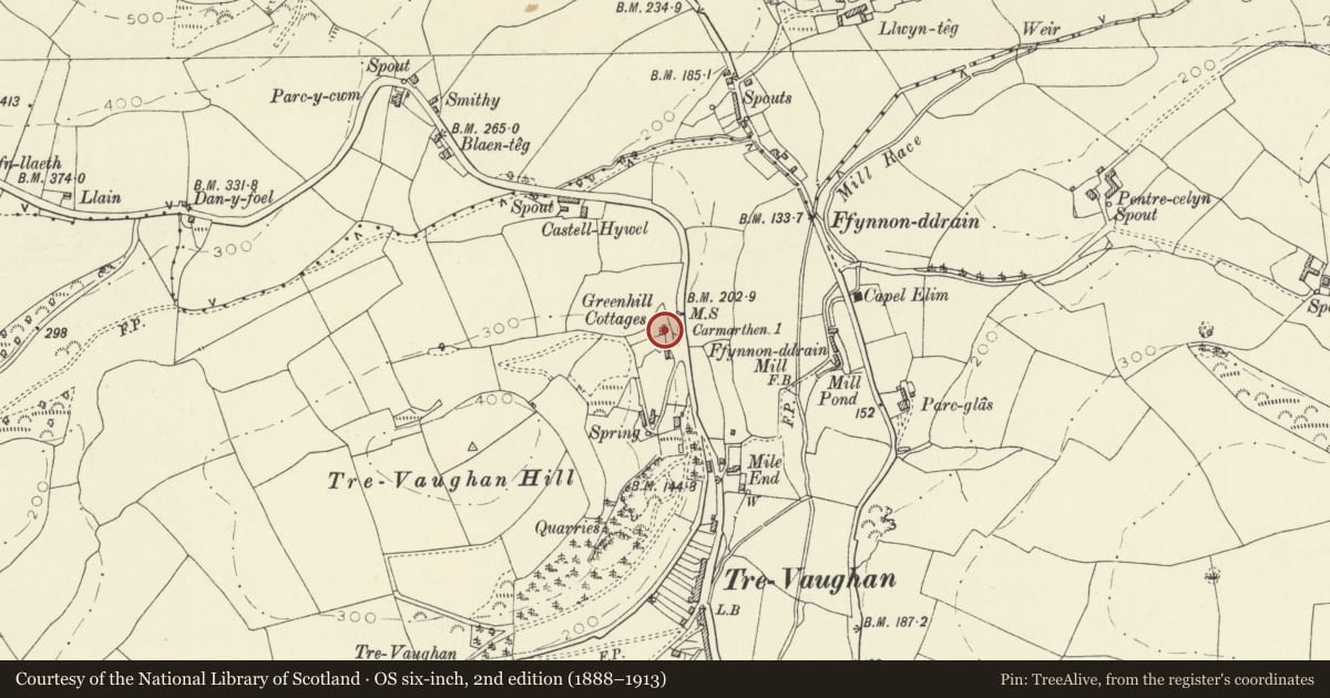 Ordnance Survey six-inch map, 2nd edition (1888–1913) covering the location of 65 Trevaughan Road, Carmarthen, Carmarthenshire, with a pin at the register's coordinates