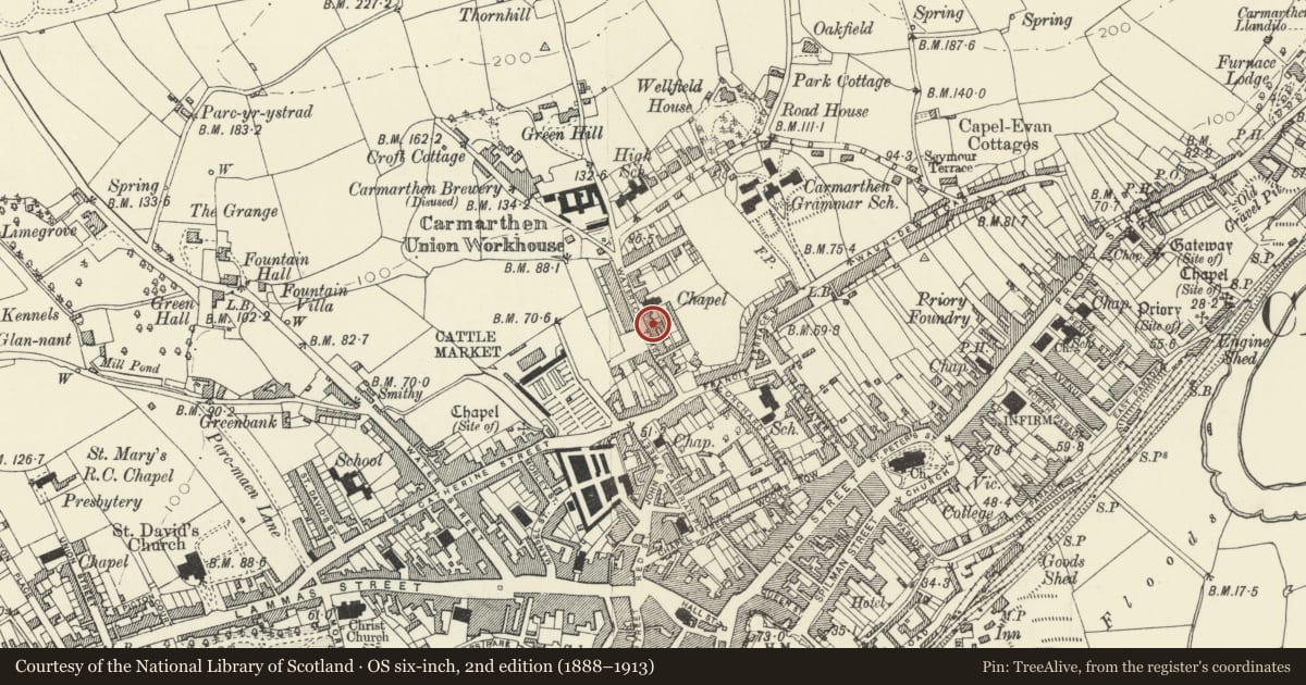 Ordnance Survey six-inch map, 2nd edition (1888–1913) covering the location of 8 Waterloo Terrace, Carmarthen, Carmarthenshire, with a pin at the register's coordinates