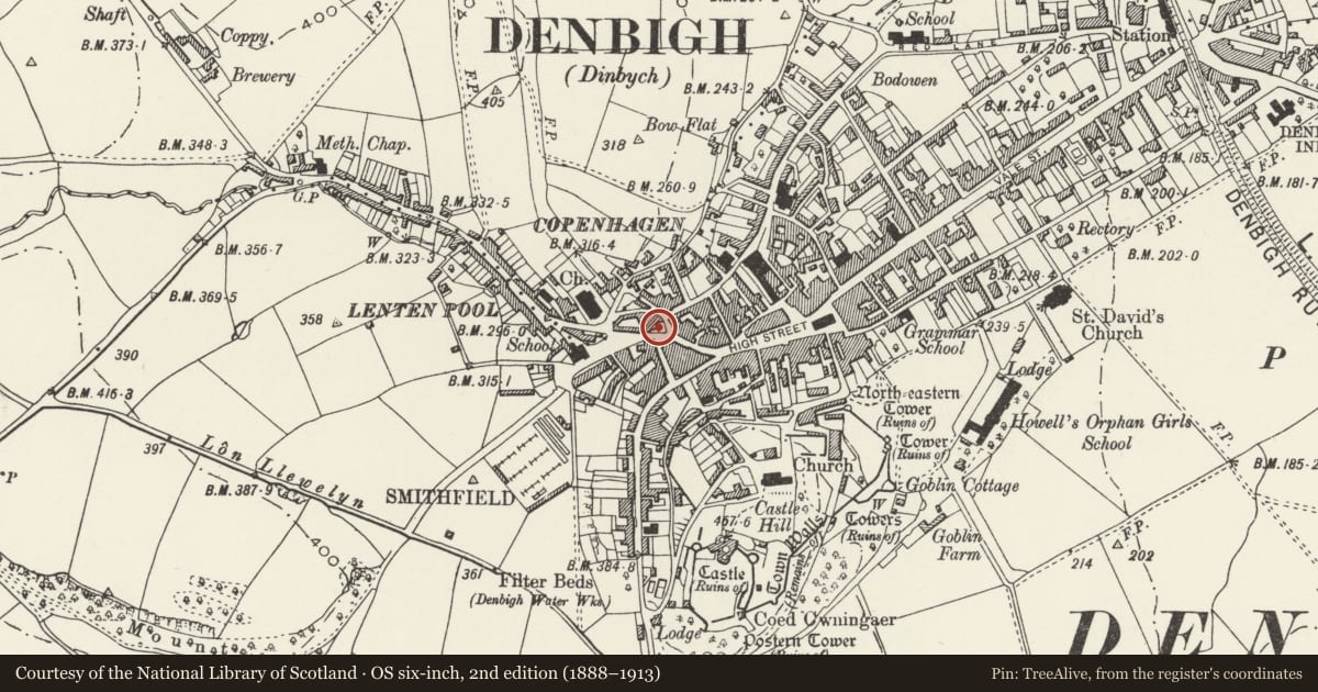Ordnance Survey six-inch map, 2nd edition (1888–1913) covering the location of Bronyffynnon aka Hen Cartref, Denbigh, Denbighshire, with a pin at the register's coordinates