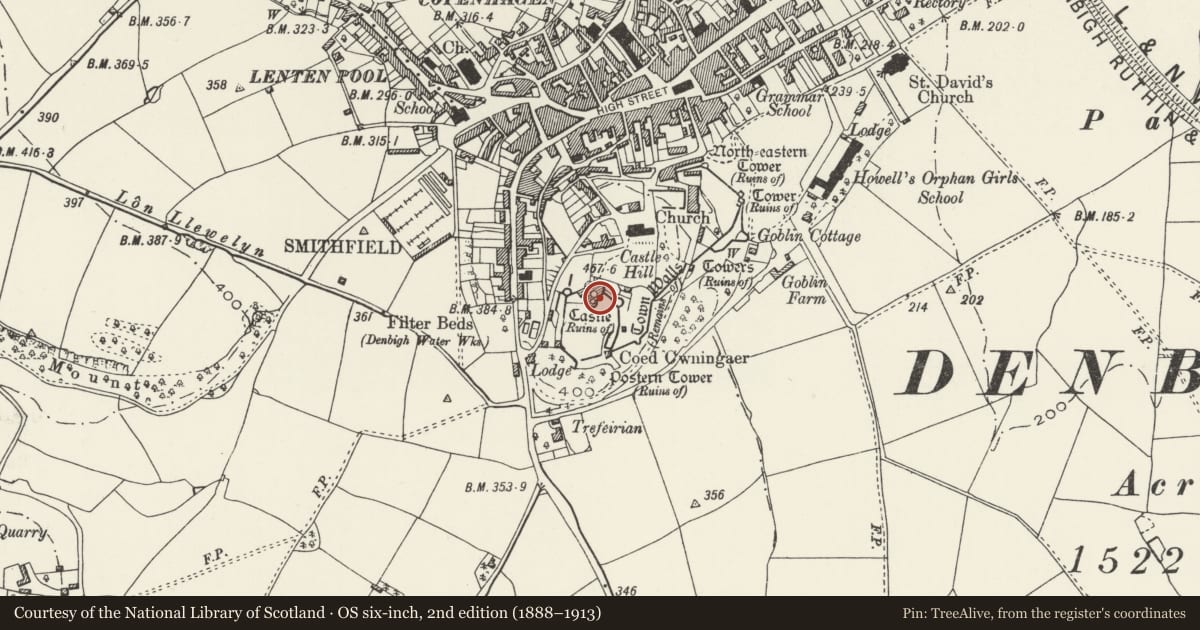 Ordnance Survey six-inch map, 2nd edition (1888–1913) covering the location of Denbigh Castle, Denbighshire, with a pin at the register's coordinates