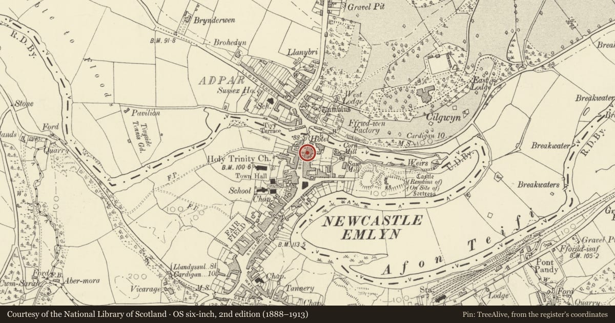 Ordnance Survey six-inch map, 2nd edition (1888–1913) covering the location of Cartrefle, Newcastle Emlyn, Carmarthenshire, with a pin at the register's coordinates