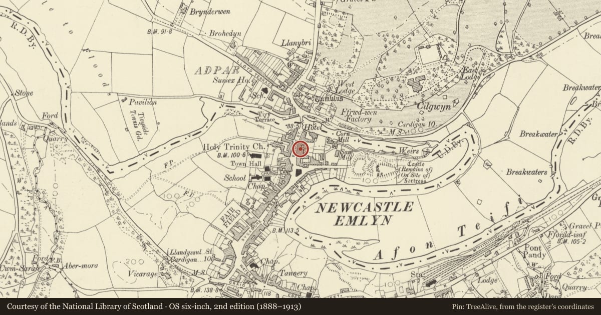 Ordnance Survey six-inch map, 2nd edition (1888–1913) covering the location of Bronafon & Teifi Dene, Newcastle Emlyn, Carmarthenshire, with a pin at the register's coordinates