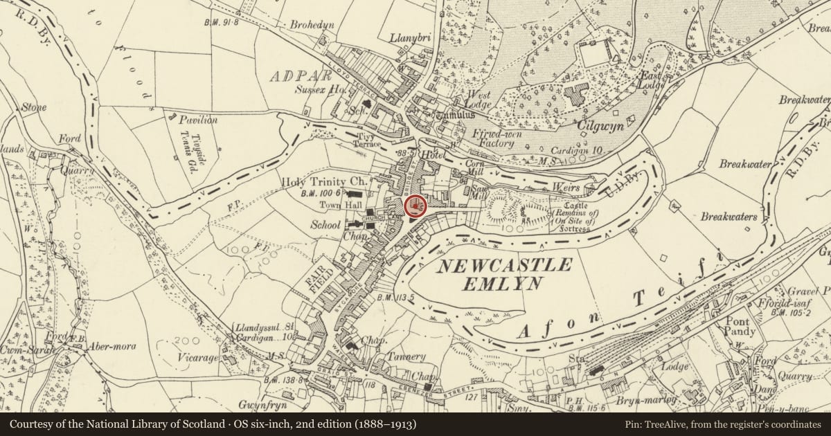 Ordnance Survey six-inch map, 2nd edition (1888–1913) covering the location of Bank House, Newcastle Emlyn, Carmarthenshire, with a pin at the register's coordinates