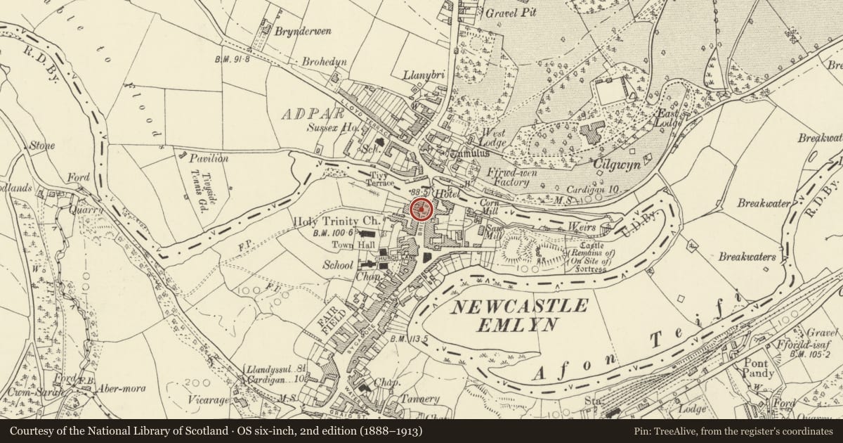Ordnance Survey six-inch map, 2nd edition (1888–1913) covering the location of The Old Saddler's, Newcastle Emlyn, Carmarthenshire, with a pin at the register's coordinates