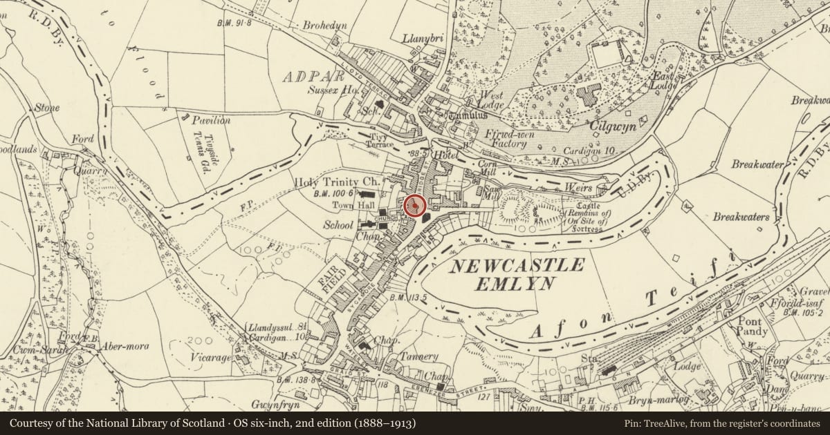 Ordnance Survey six-inch map, 2nd edition (1888–1913) covering the location of The Bunch of Grapes Inn, Newcastle Emlyn, Carmarthenshire, with a pin at the register's coordinates