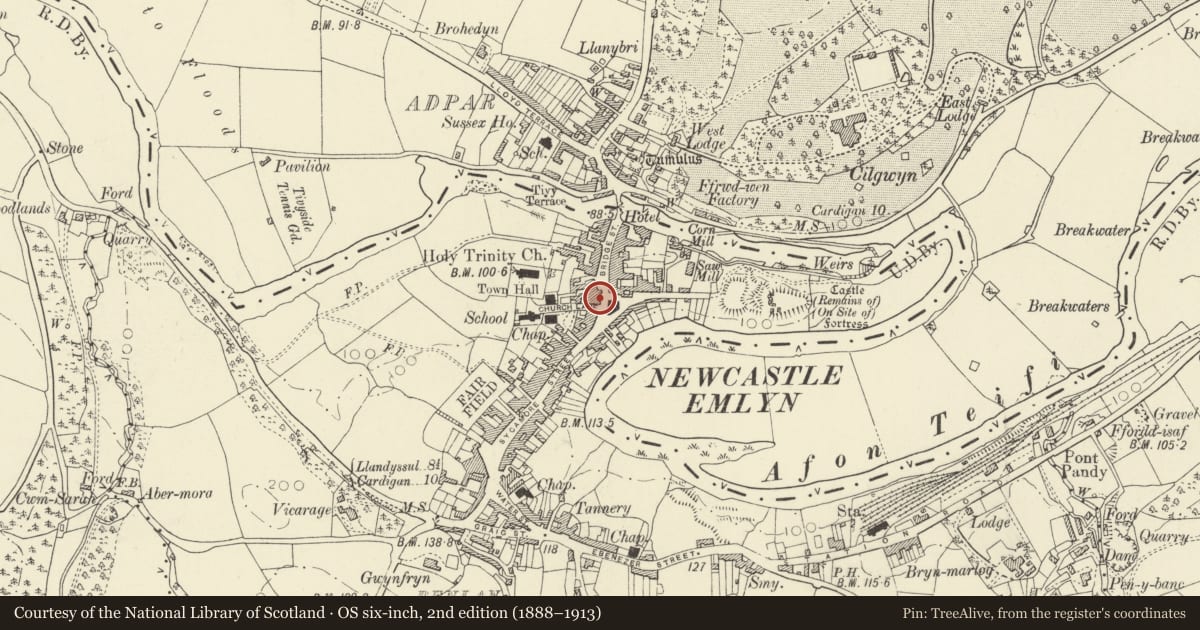 Ordnance Survey six-inch map, 2nd edition (1888–1913) covering the location of The Blue Bell Inn, Newcastle Emlyn, Carmarthenshire, with a pin at the register's coordinates