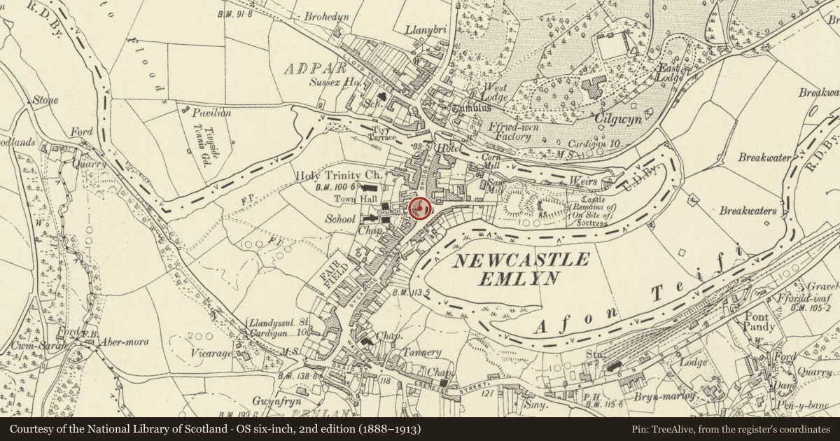 Ordnance Survey six-inch map, 2nd edition (1888–1913) covering the location of Former Victoria Stores, Newcastle Emlyn, Carmarthenshire, with a pin at the register's coordinates