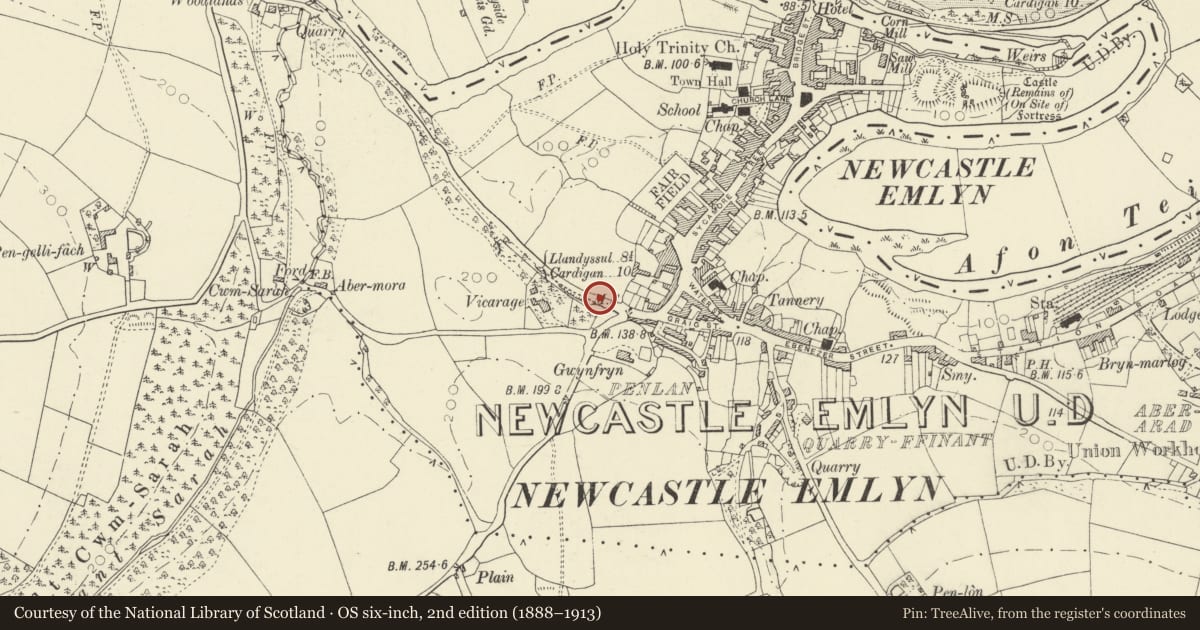 Ordnance Survey six-inch map, 2nd edition (1888–1913) covering the location of Milepost behind No. 24, Blaenwern, Newcastle Emlyn, Carmarthenshire, with a pin at the register's coordinates