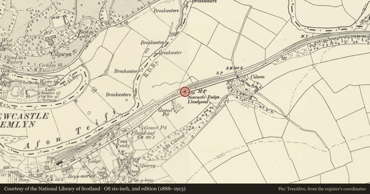 Ordnance Survey six-inch map, 2nd edition (1888–1913) covering the location of Milepost opposite "Pinecroft", Newcastle Emlyn, Carmarthenshire, with a pin at the register's coordinates