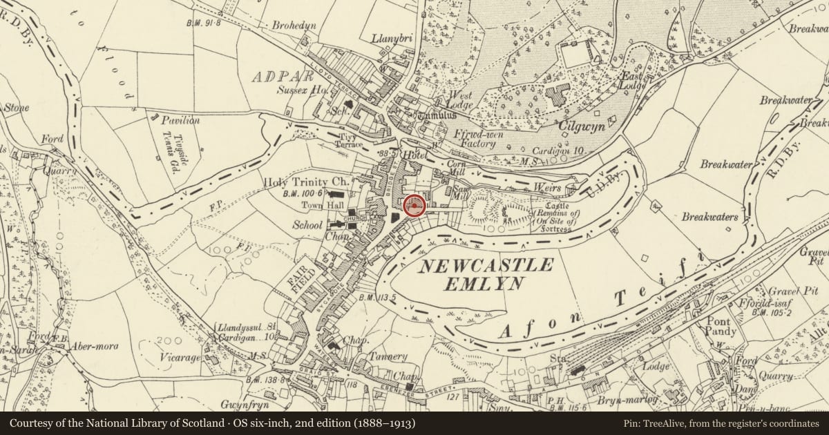 Ordnance Survey six-inch map, 2nd edition (1888–1913) covering the location of Castle House, Newcastle Emlyn, Carmarthenshire, with a pin at the register's coordinates