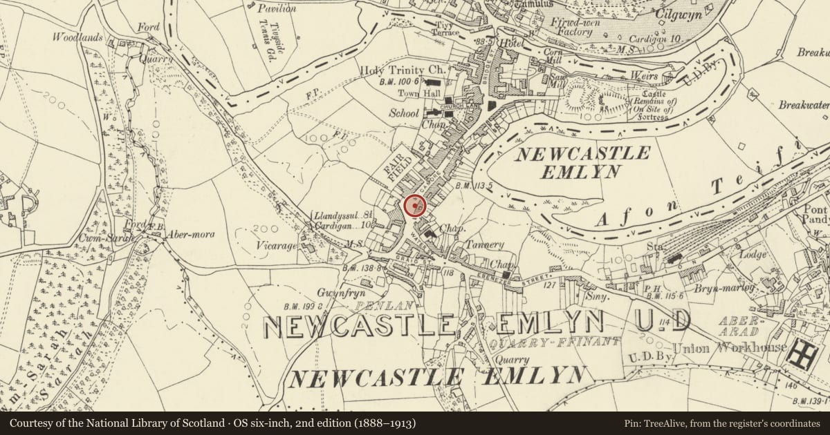 Ordnance Survey six-inch map, 2nd edition (1888–1913) covering the location of Pillar Box outside Midland Bank, Newcastle Emlyn, Carmarthenshire, with a pin at the register's coordinates