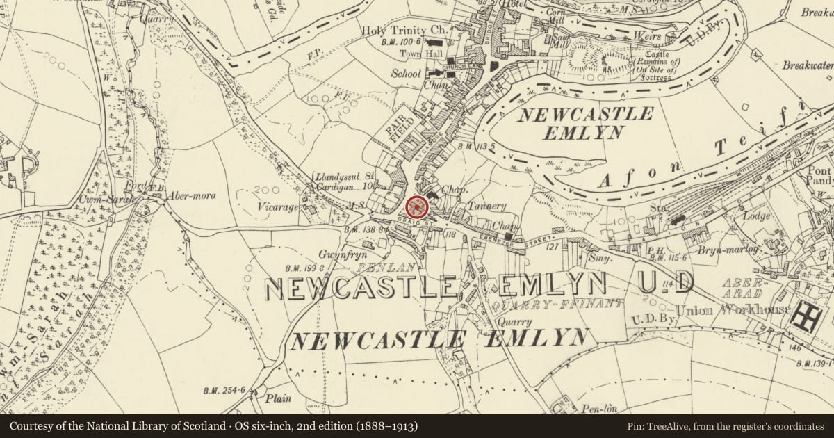 Ordnance Survey six-inch map, 2nd edition (1888–1913) covering the location of Emlyn Castle (All Kings Premises), Newcastle Emlyn, Carmarthenshire, with a pin at the register's coordinates