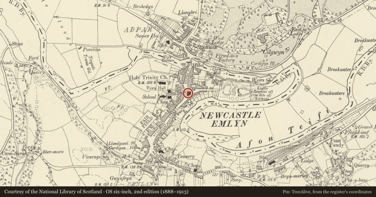 Ordnance Survey six-inch map, 2nd edition (1888–1913) covering the location of Town Hall & Market Buildings, Newcastle Emlyn, Carmarthenshire, with a pin at the register's coordinates