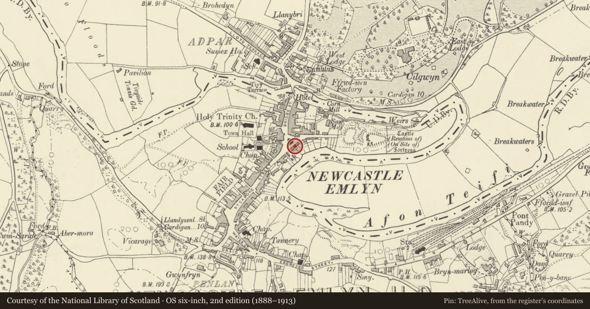 Ordnance Survey six-inch map, 2nd edition (1888–1913) covering the location of Golwg Yr Afon, Newcastle Emlyn, Carmarthenshire, with a pin at the register's coordinates