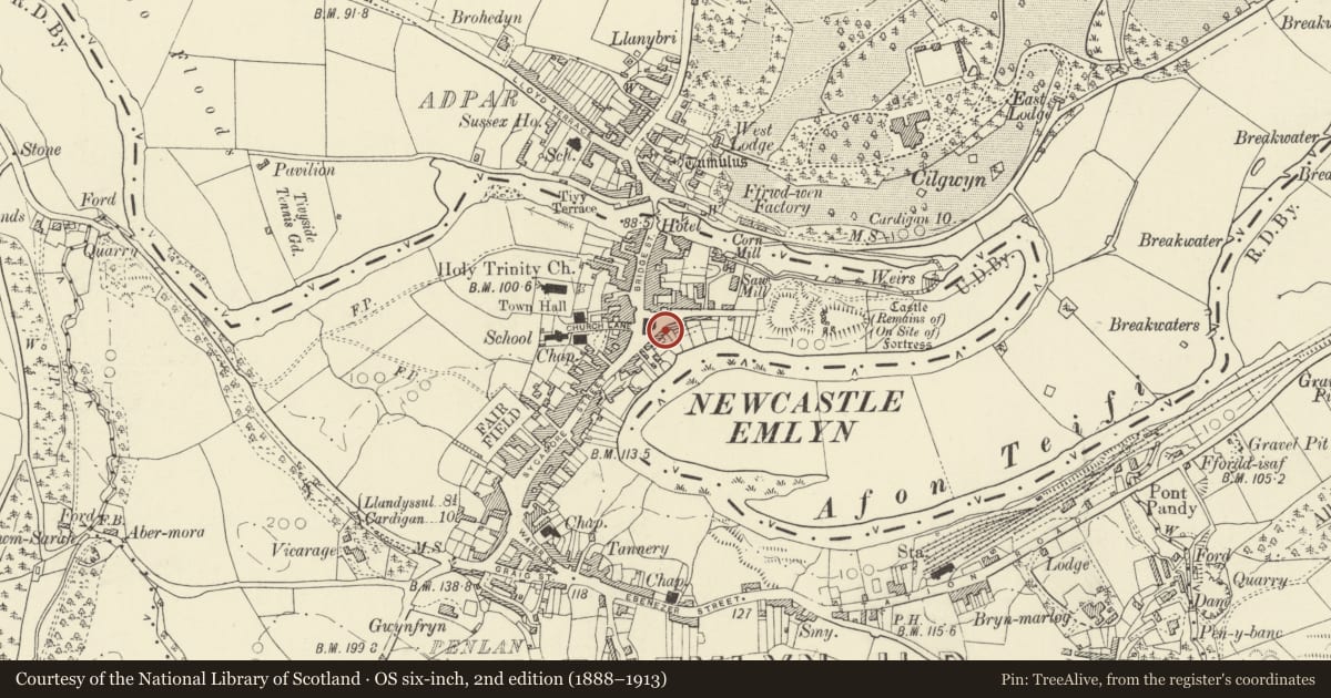 Ordnance Survey six-inch map, 2nd edition (1888–1913) covering the location of Castle Antiques, Newcastle Emlyn, Carmarthenshire, with a pin at the register's coordinates