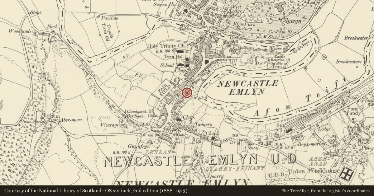 Ordnance Survey six-inch map, 2nd edition (1888–1913) covering the location of National Westminster Bank, Newcastle Emlyn, Carmarthenshire, with a pin at the register's coordinates