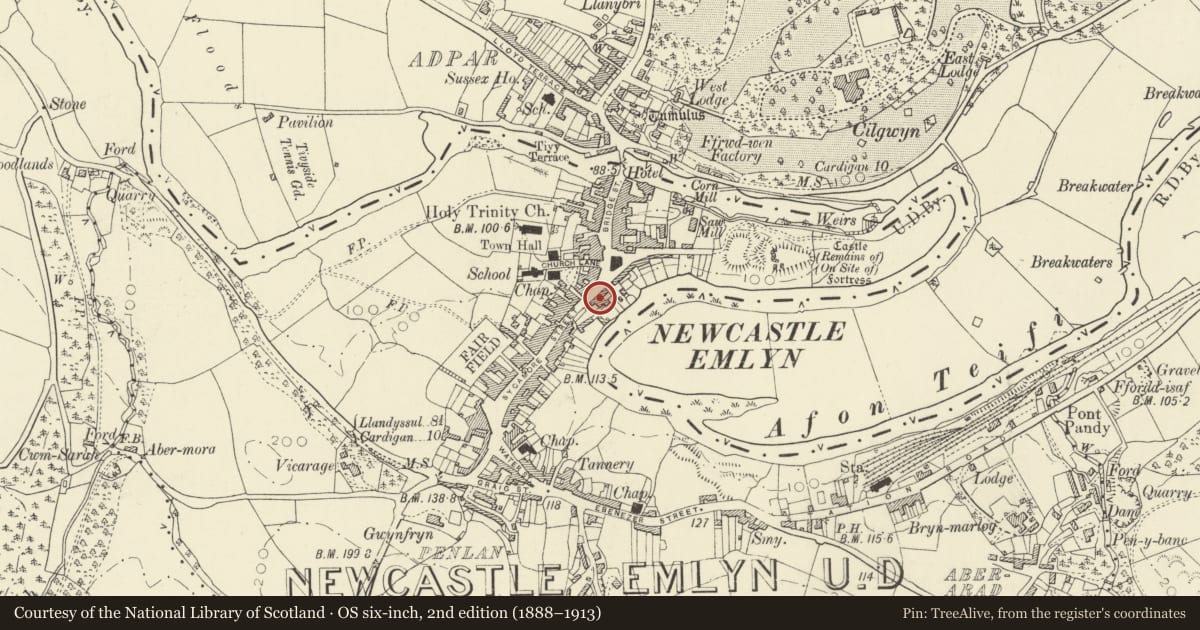 Ordnance Survey six-inch map, 2nd edition (1888–1913) covering the location of Angel House (J.David Lewis Premises), Newcastle Emlyn, Carmarthenshire, with a pin at the register's coordinates