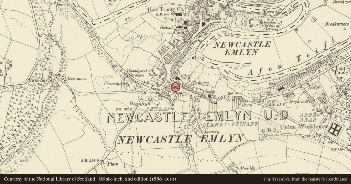Ordnance Survey six-inch map, 2nd edition (1888–1913) covering the location of Former Emlyn Grammer School, Newcastle Emlyn, Carmarthenshire, with a pin at the register's coordinates