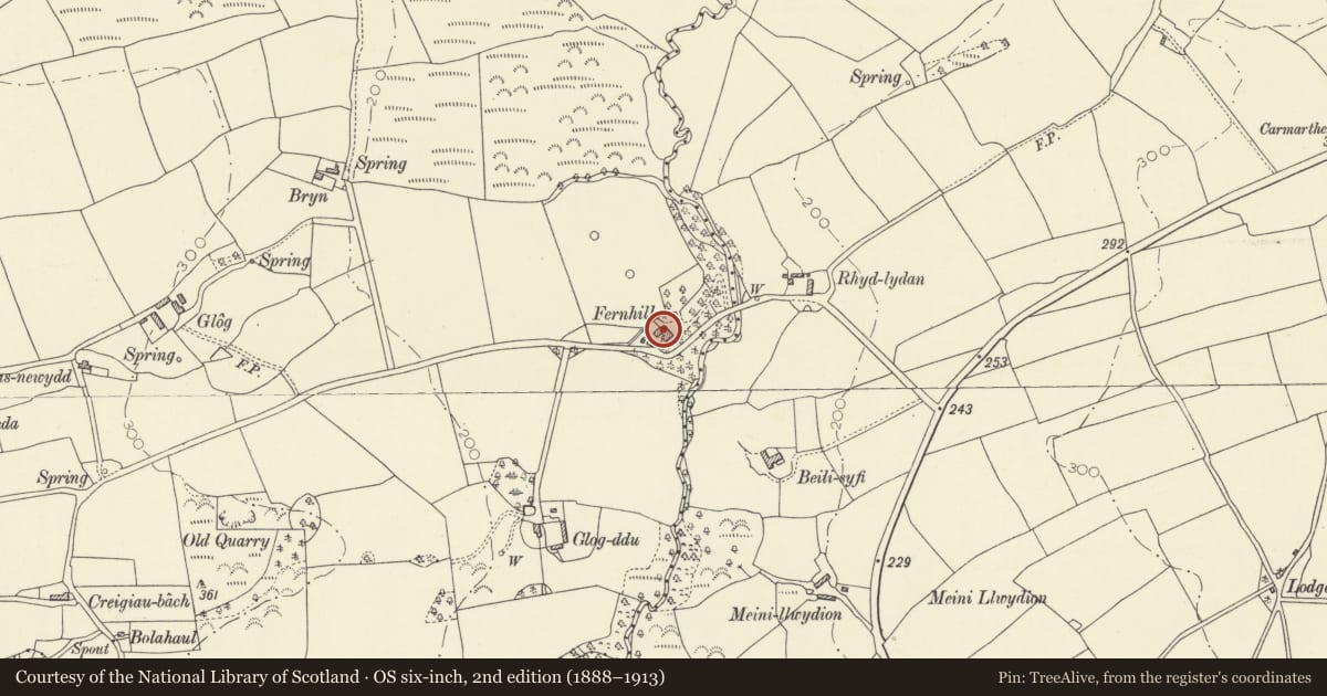 Ordnance Survey six-inch map, 2nd edition (1888–1913) covering the location of Fern Hill, Llangynog, Carmarthenshire, with a pin at the register's coordinates