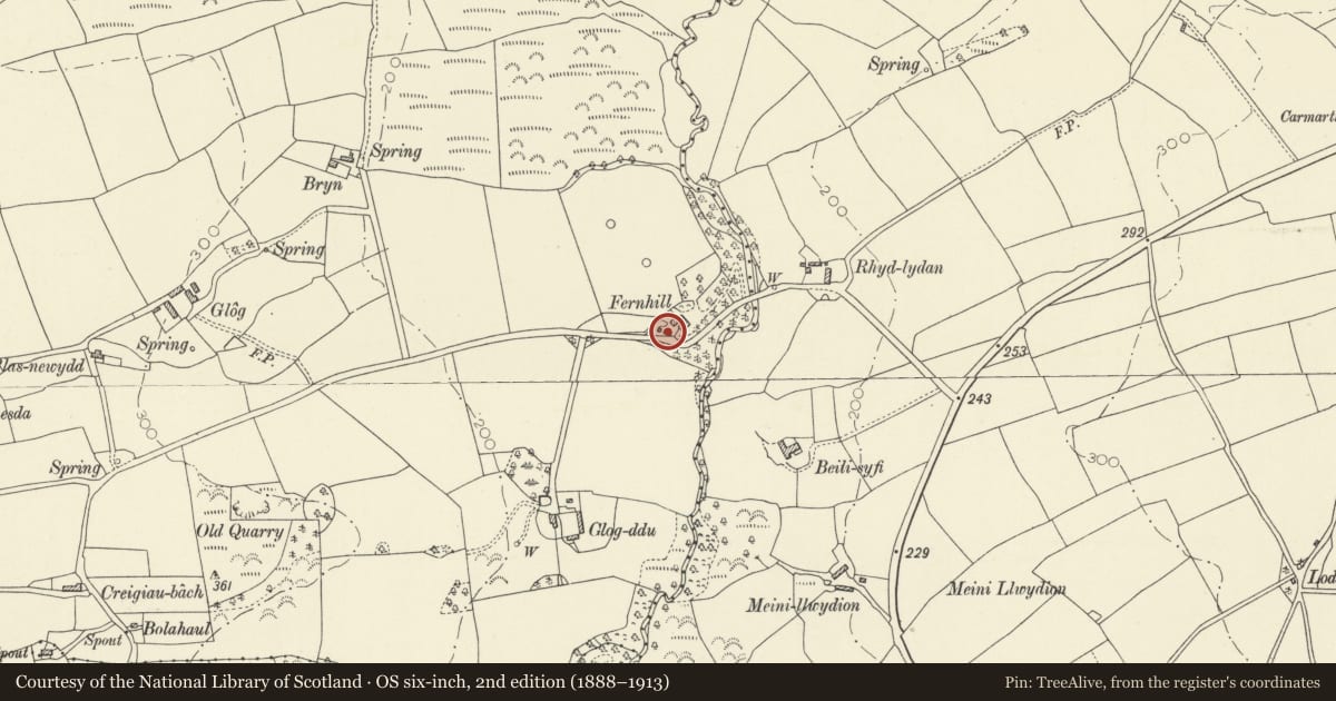 Ordnance Survey six-inch map, 2nd edition (1888–1913) covering the location of Stable and coach-house at Fern Hill, Llangynog, Carmarthenshire, with a pin at the register's coordinates