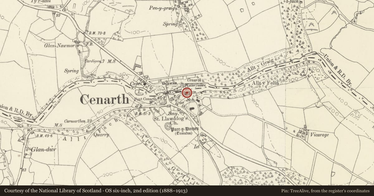 Ordnance Survey six-inch map, 2nd edition (1888–1913) covering the location of Cenarth Mill, Carmarthenshire, with a pin at the register's coordinates