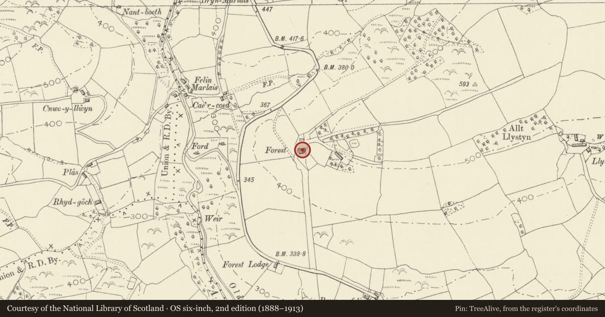 Ordnance Survey six-inch map, 2nd edition (1888–1913) covering the location of Fforest, Llanfihangel Rhos-y-Corn, Carmarthenshire, with a pin at the register's coordinates