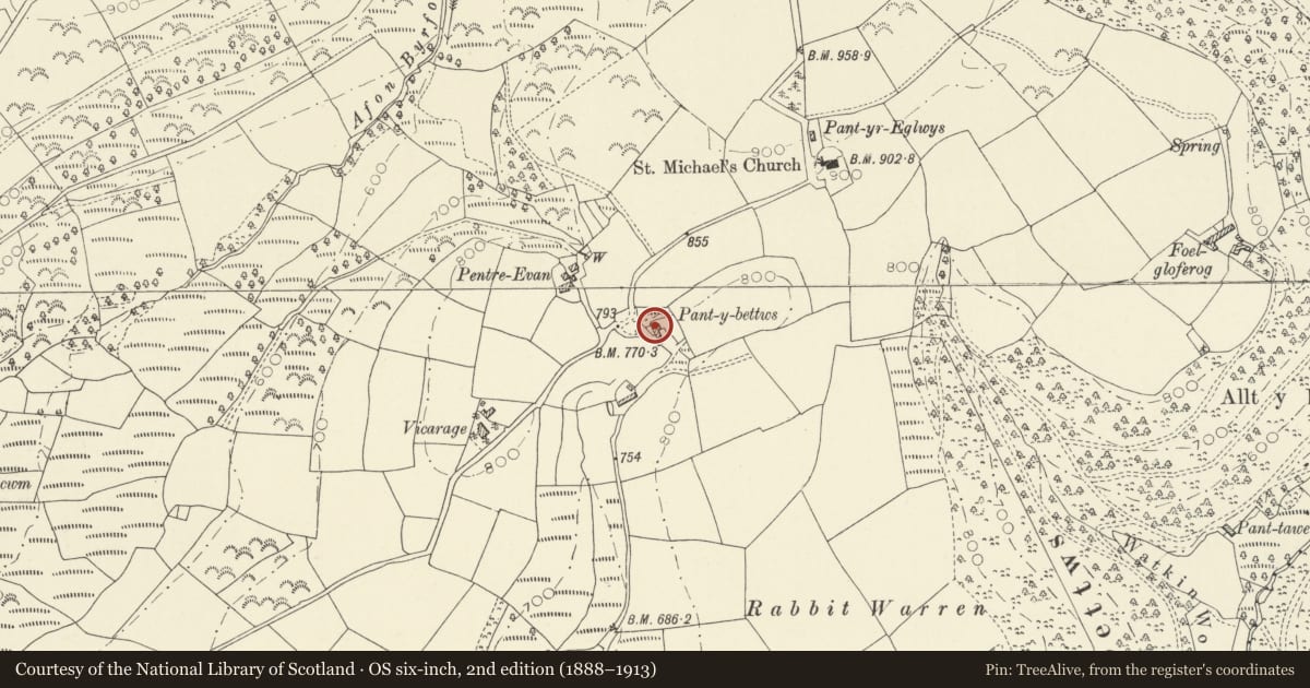 Ordnance Survey six-inch map, 2nd edition (1888–1913) covering the location of Pant-y-Bettws, Llanfihangel Rhos-y-Corn, Carmarthenshire, with a pin at the register's coordinates