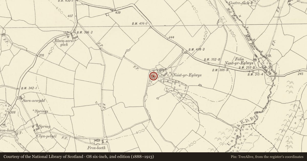 Ordnance Survey six-inch map, 2nd edition (1888–1913) covering the location of Nantyreglwys, Llanboidy, Carmarthenshire, with a pin at the register's coordinates