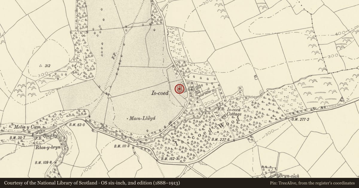 Ordnance Survey six-inch map, 2nd edition (1888–1913) covering the location of Iscoed, St. Ishmael, Carmarthenshire, with a pin at the register's coordinates