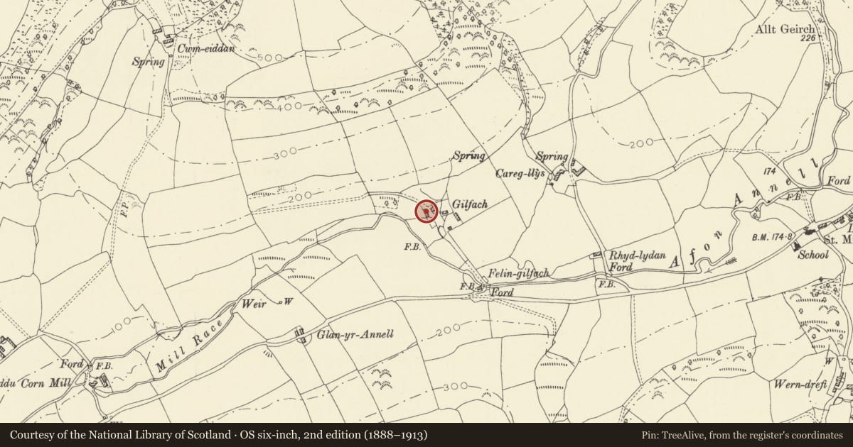 Ordnance Survey six-inch map, 2nd edition (1888–1913) covering the location of Stables at Gilfach y Berthog, including attached gate piers, Abergwili, Carmarthenshire, with a pin at the register's coordinates