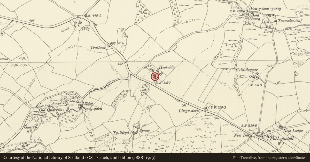 Ordnance Survey six-inch map, 2nd edition (1888–1913) covering the location of Former Dwelling to Rear of Heol-ddu, Gorslas, Carmarthenshire, with a pin at the register's coordinates