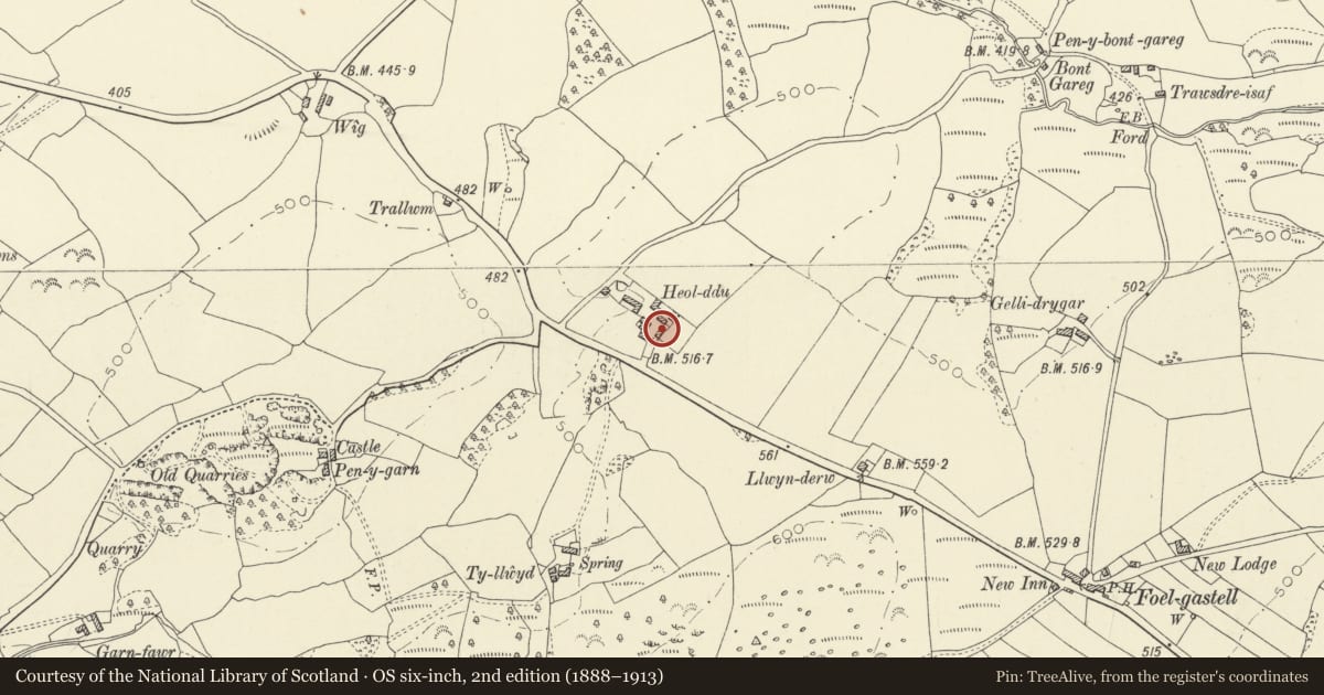 Ordnance Survey six-inch map, 2nd edition (1888–1913) covering the location of Stables at Heol-ddu, Gorslas, Carmarthenshire, with a pin at the register's coordinates