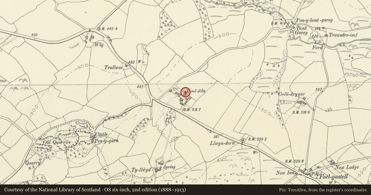 Ordnance Survey six-inch map, 2nd edition (1888–1913) covering the location of Agricultural Range known as 'the Barn' at Heol-ddu, Gorslas, Carmarthenshire, with a pin at the register's coordinates