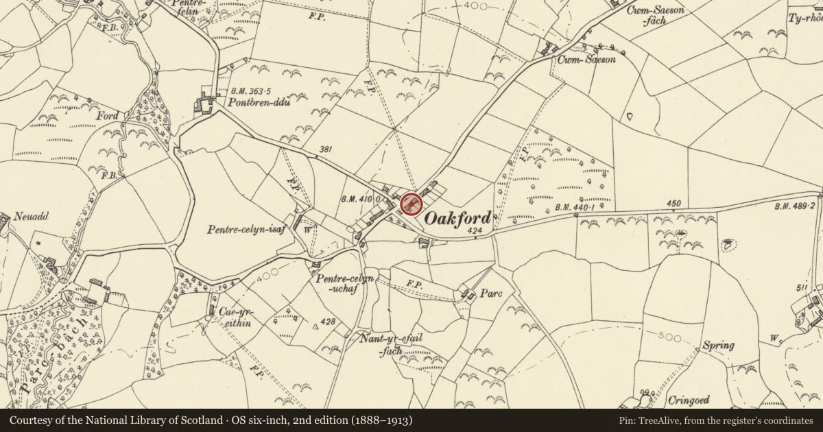 Ordnance Survey six-inch map, 2nd edition (1888–1913) covering the location of Llynfell, Henfynyw, Ceredigion, with a pin at the register's coordinates