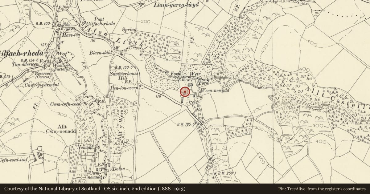 Ordnance Survey six-inch map, 2nd edition (1888–1913) covering the location of Tyddyn Pelyn, Plas y Wern, Llanarth, Ceredigion, with a pin at the register's coordinates