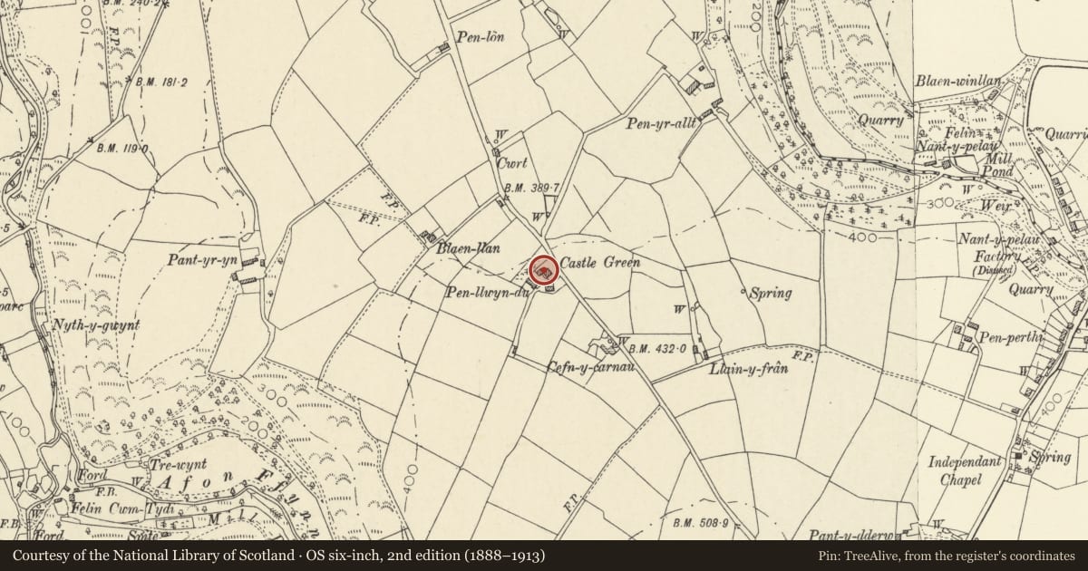 Ordnance Survey six-inch map, 2nd edition (1888–1913) covering the location of Castle Green, Llandysiliogogo, Ceredigion, with a pin at the register's coordinates