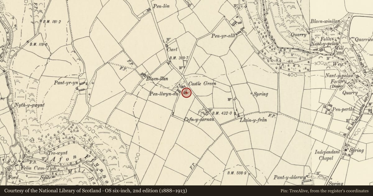 Ordnance Survey six-inch map, 2nd edition (1888–1913) covering the location of Penllwyn, Llandysiliogogo, Ceredigion, with a pin at the register's coordinates
