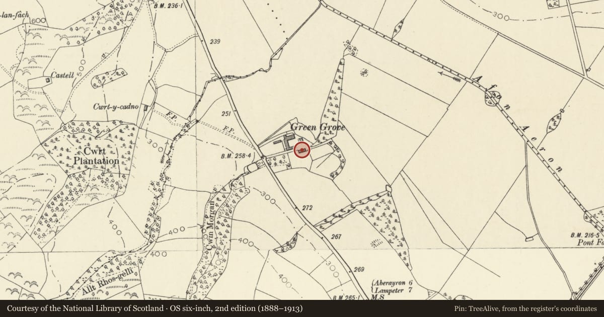 Ordnance Survey six-inch map, 2nd edition (1888–1913) covering the location of Green Grove, Llanfihangel Ystrad, Ceredigion, with a pin at the register's coordinates